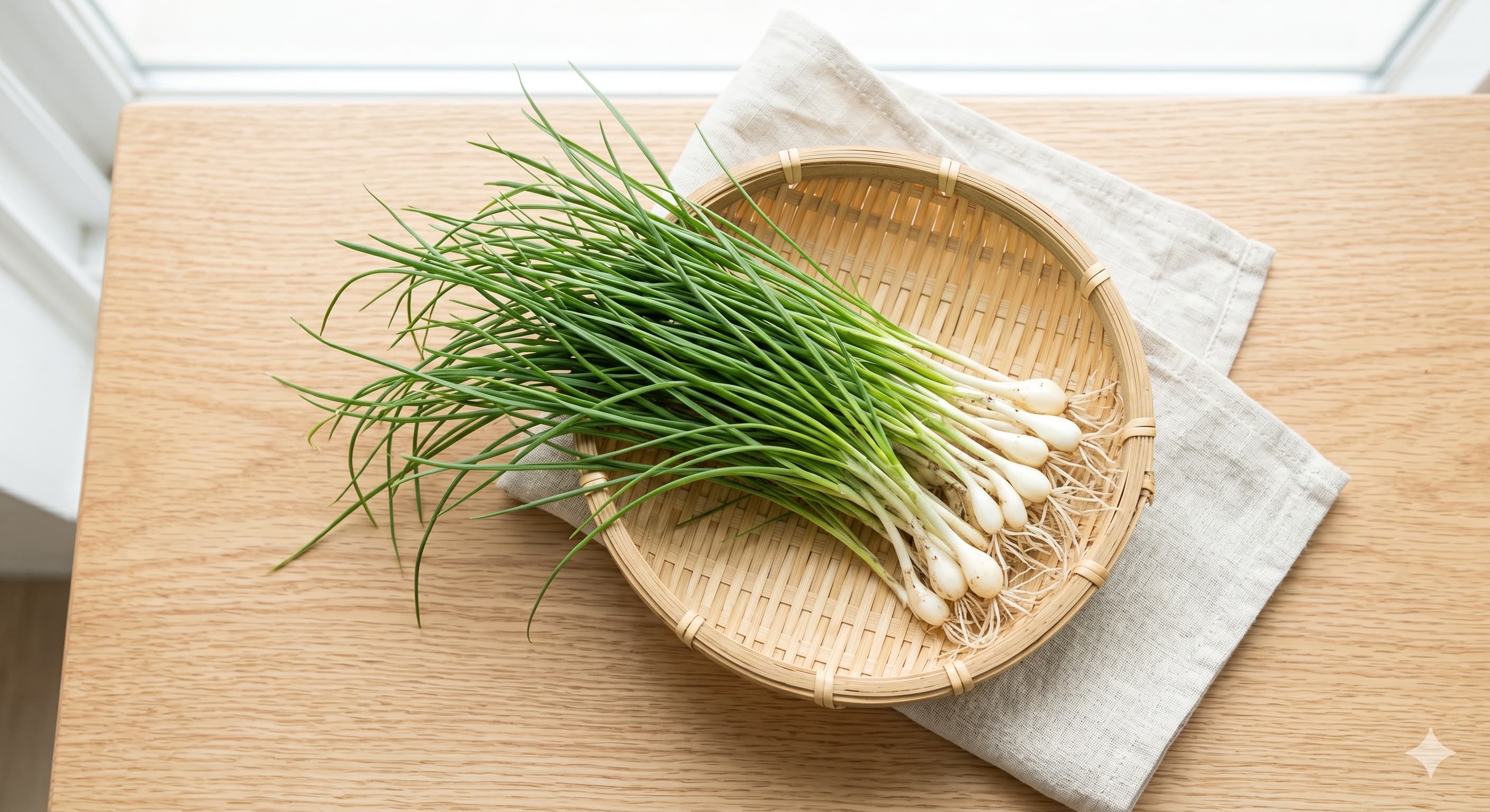 Wild Chives (달래)