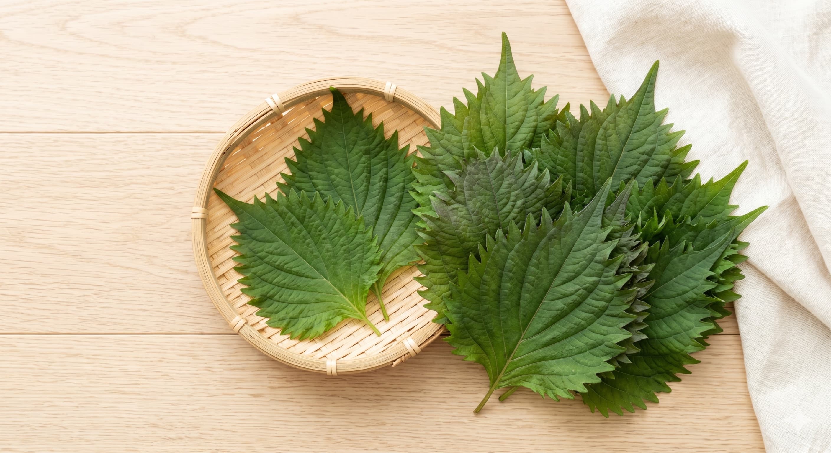 Shiso (Japanese Perilla) (차조기)